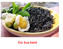 Hoa buoi