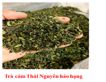 TN Hảo hạng