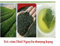 TNThượng hạng