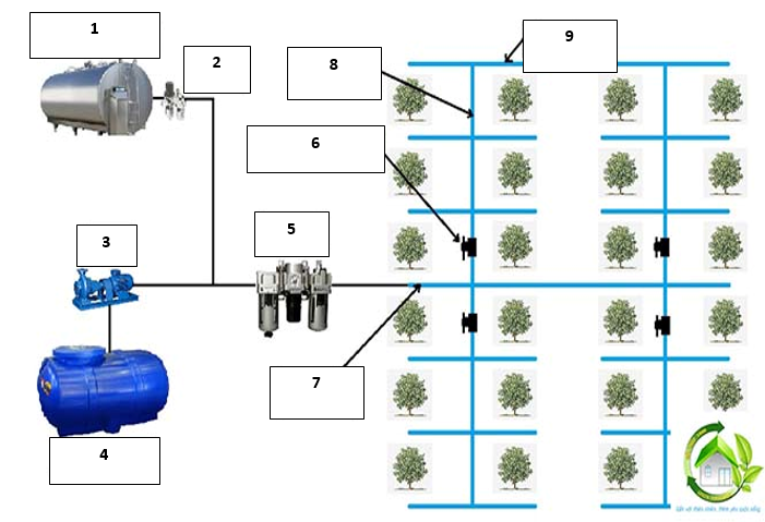 Sơ đồ lắp đặt hệ thống tưới nhỏ giọt 